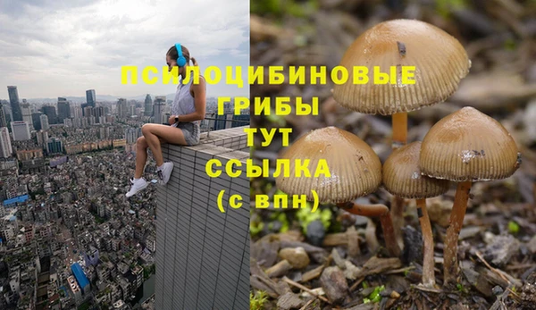 прущий лед Семилуки