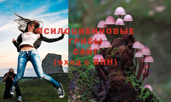 ешки Семёнов