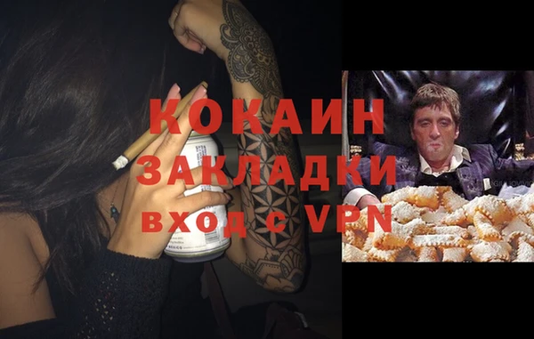 дмт Снежногорск