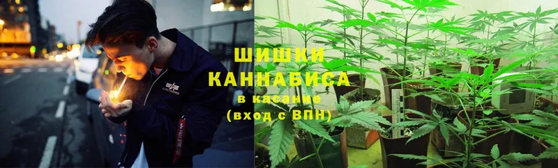 Бошки марихуана THC 21%  наркотики  Боготол 